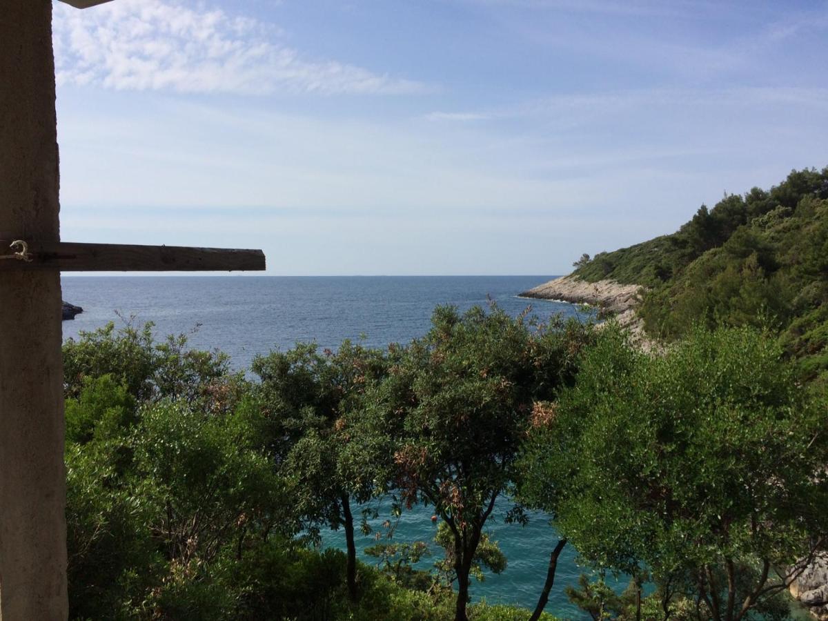 Contessa Robinson House Villa Zrnovo Ngoại thất bức ảnh